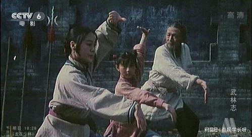 国产武侠电影视频,国产武侠电影的传奇篇章
