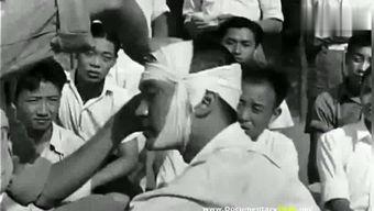 中国国产战争真实视频,中国国产战争真实影像记录