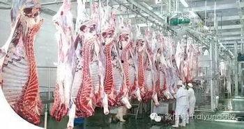 国产进口牛肉视频,揭秘两大牛肉市场的秘密