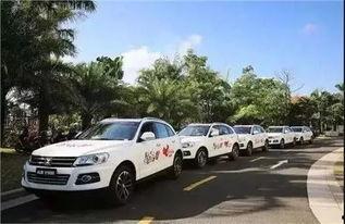 国产车陷入困境视频